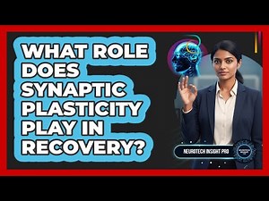 What Role Does Synaptic Plasticity Play In Recovery?