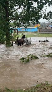 44K reactions · 1.4K shares | Ale P. Quezada on Reels | Facebook