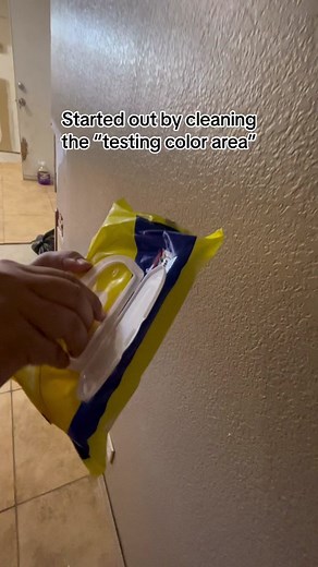 Home Depot Behr Dynasty Cream Color Painting Project