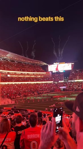 Paycor Stadium Remodel: What's New for Bengals 2026?