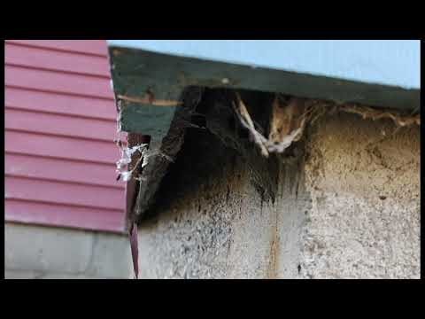Home Inspection: Concrete Foundation Spalling
