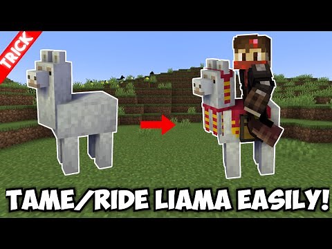How to Tame and Ride a Llama in Minecraft: PC & Console
