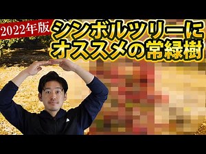 【最新版おすすめランキング4選】考えに考え抜いた2022年おすすめの常緑シンボルツリーはこれだ！