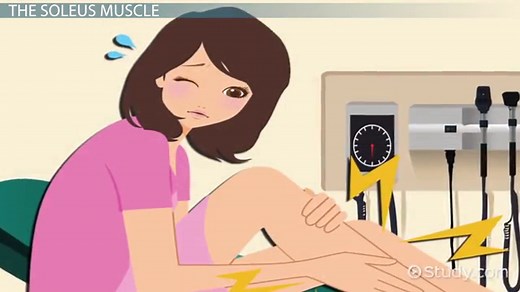 Soleus Muscle Pain, Strain or Tear: Causes & Treatment
