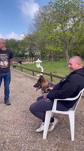 166K views · 4.7K reactions | Human and Dog Reactive GSD Session was conducted by our trainer @lee_southenddogtraining who doesn’t know how to fail. This dog has been failed by many but not today. #gsd #dogsofinstagram #dogtraining | Southend Dog Training | Facebook
