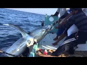 845K views · 1K shares | CATCHING GIANT FISH ON THE SEA. | Daily Fishing | Facebook