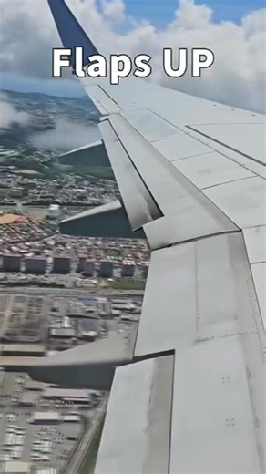 22K views · 267 reactions | B737 Setting Flaps 5 for Takeoff Here’s a...