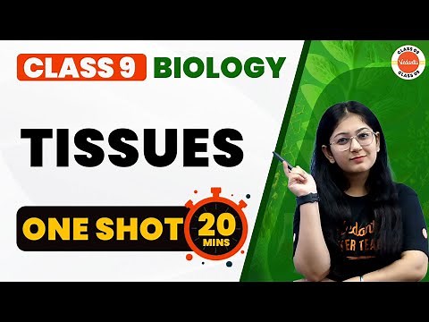 Tissues Class 9 One Shot Revision in 20 Mins | NCERT Class 9th Science (Biology) | CBSE 2024