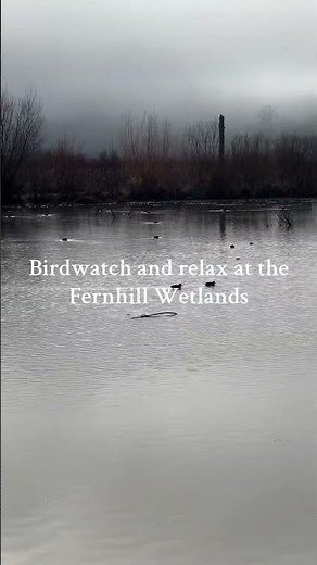 Explore the Outdoors in Tualatin Valley