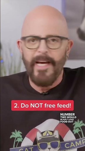 DON’T Do These 2 Things When Feeding Your Cats! #shorts