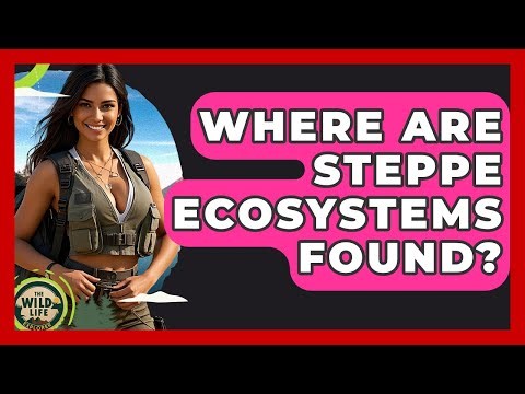 Where Are Steppe Ecosystems Found? - The Wild Life Explorer