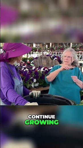 Determinate vs. Indeterminate Tomatoes: Gardening Tips