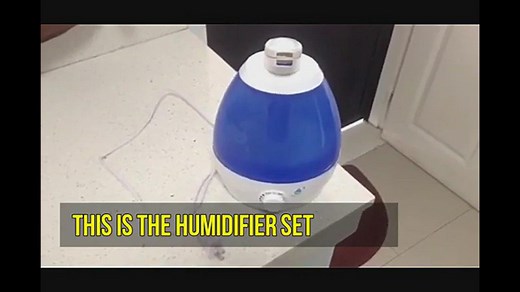 Cold fogging Vs Thermal Fogging: What are the Differences? - Wild Fog