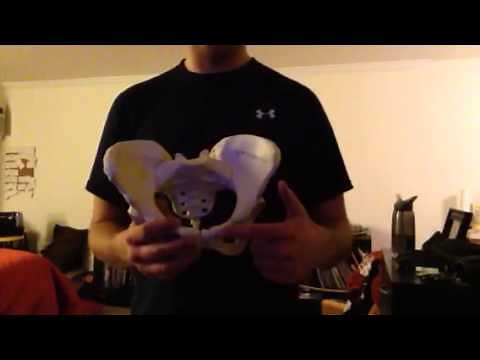 Course Notes: PRI Pelvis Restoration