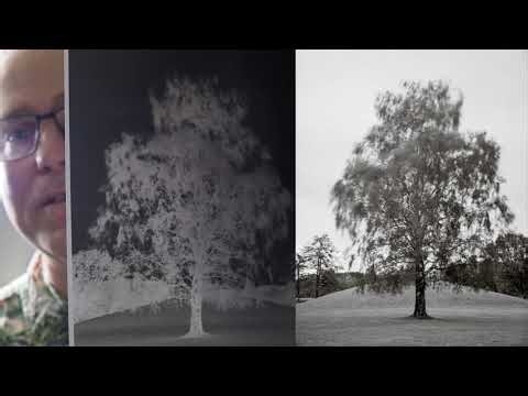 Paper negatives as good as film?