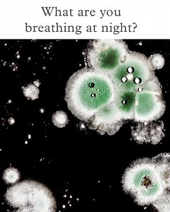 156 reactions · 133 shares | Mold spores can grow and become airborne, spreading throughout your home. Molekule destroys airborne pollutants pollutants you might be inhaling, including mold, allergens, or bacteria. | Molekule | Facebook