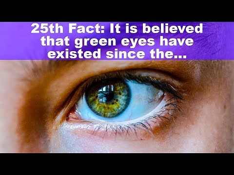 🌎 25 Interesting Facts About Green Eyes