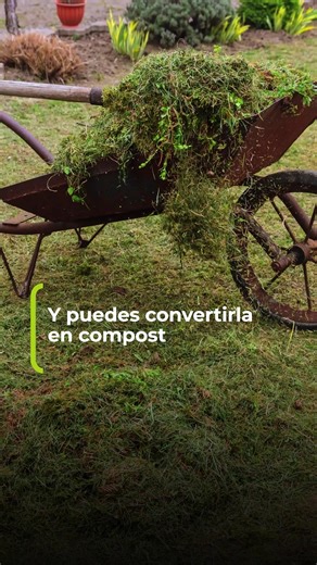🍌 Lo que tiras en la basura podría dar vida. Lleva tus residuos orgánicos a BioEMAC y crea compost para la ciudad. ♻️ Tú separas, Cuenca florece. 💚 EMAC TÚ YO = TODO SUMA . . . . . . . . . #BIOEMAC #Residuosorgánicos #TodoSuma #EMAC @seguidores | EMAC EP