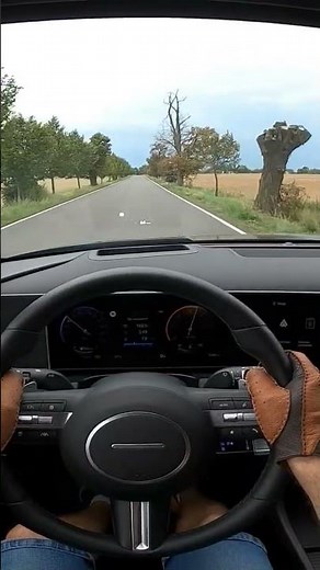 2024 Hyundai Tucson 1,6 CRDi | facelift | acceleration 0 -100+ km/h