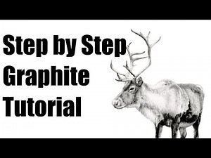 How to Draw a Realistic Reindeer | Full Tutorial