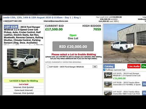 How To Bid Online - Euro Auctions
