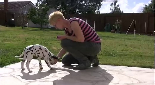 How to Stop a Puppy from Biting and Nipping