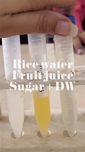 #trending #notes #experiment #viral #youtube #fruit #lab #labexperiment #dna #water #create #yt #new