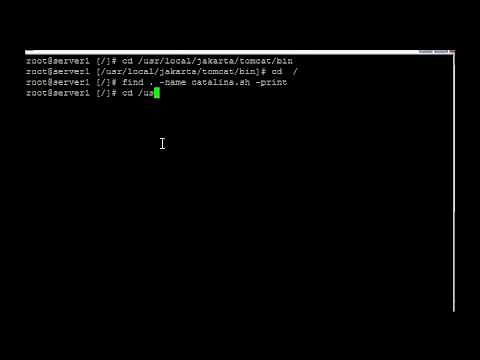 Apache Tomcat - Stop/Start