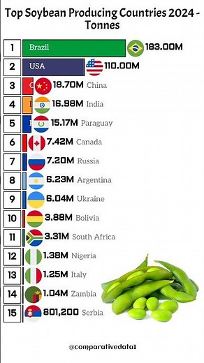 Top 15 Soybean Producing Countries 2024 🌱 | Global Agriculture Ranking 🌍