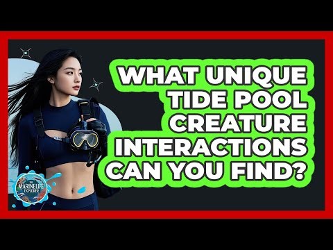 What Unique Tide Pool Creature Interactions Can You Find? - The Marine Life Explorer