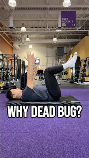 Why Dead Bug? #coreworkout #warmup #deadbug