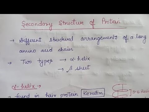 Secondary structure of protein