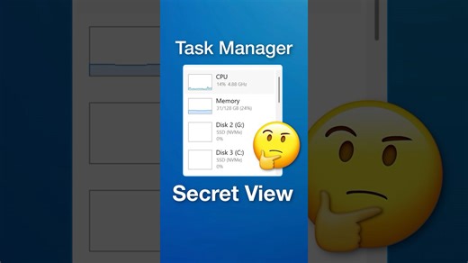 Task Manager secret view shows every process running