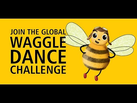 Waggle Dance Instructions