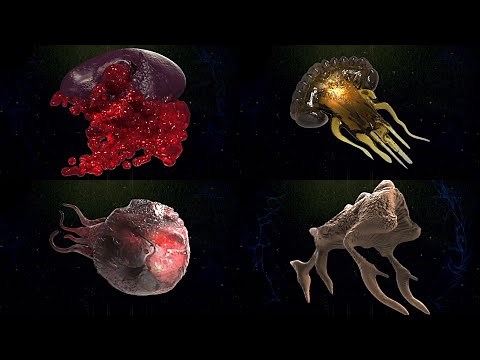 Warframe - How to get Sporulate Sac and Dendrite Blastoma (good farming place)