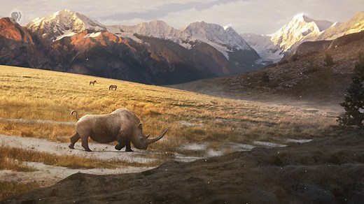 It's #WorldRhinoDay! Throughout the Pleistocene Epoch, the range of the woolly rhino grew and shrank in sync with global climate. So what caused the climate -- and the range of the woolly rhino -- to cycle back and forth between such extremes? | Eons • PBS