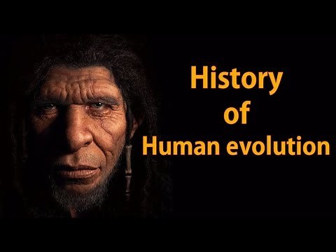 History of Human Evolution