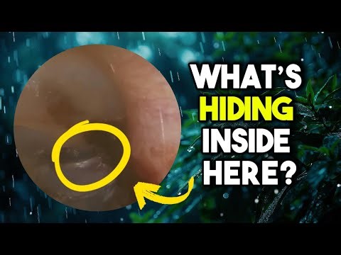 You Won’t Believe What’s Inside!