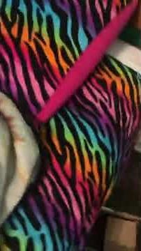 How to make a super cozy Therian den! Super easy and cozy! 🐾