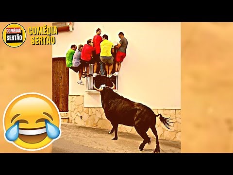 Quando o Touro é Incomodado! 😂 Tente Não Rir