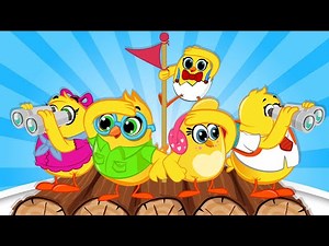 هالصيصان شو حلوين بنطو عالي نطوطة | كتاكيت بيبي