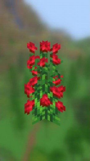 Building New Custom Birch Trees #shorts #minecraft