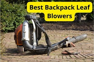 8 Best Backpack Leaf Blowers of 2025 [Reviews]