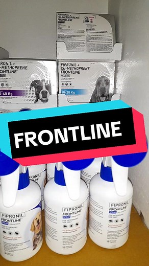 Effective Flea and Tick Protection for Cats and Dogs | Frontline Plus & Frontline Spray