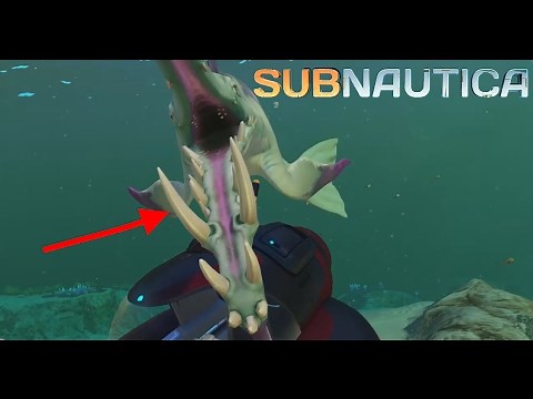 Subnautica - HOW TO TAME AND GET STALKER TEETH