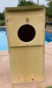 Barred or Great Horned Owl Nesting Box Made of Pine and Cedar - Etsy