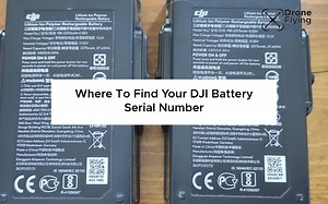 How To Look For Your DJI Battery Serial Number [  more] - Drone Flying Pro