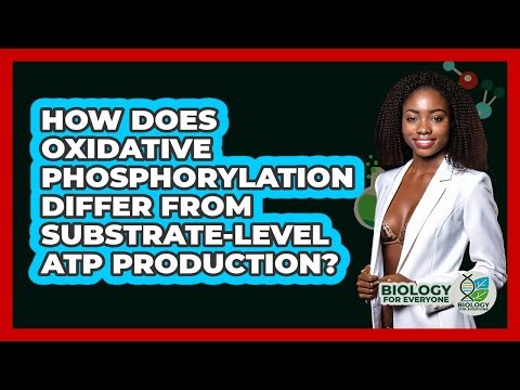 How Does Oxidative Phosphorylation Differ From Substrate-level ATP Production?