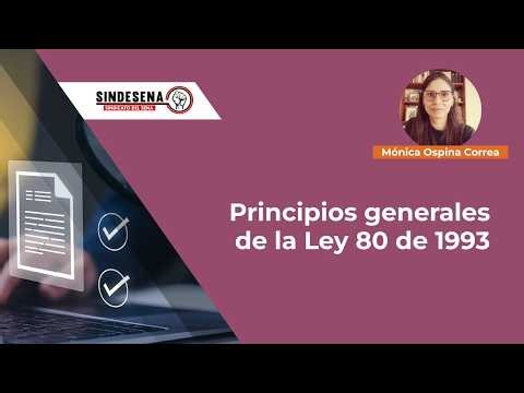 Ley 80 de 1993 – Principios de la Contratación Estatal y Actuación Administrativa