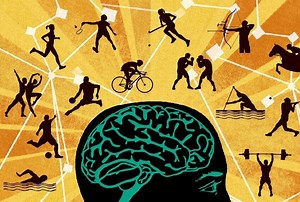 Sport Psychology PhD Programs: Ranking the Top 6 - sportsandthemind.com
